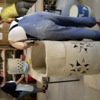 DSCN0101