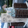 DSCN0155